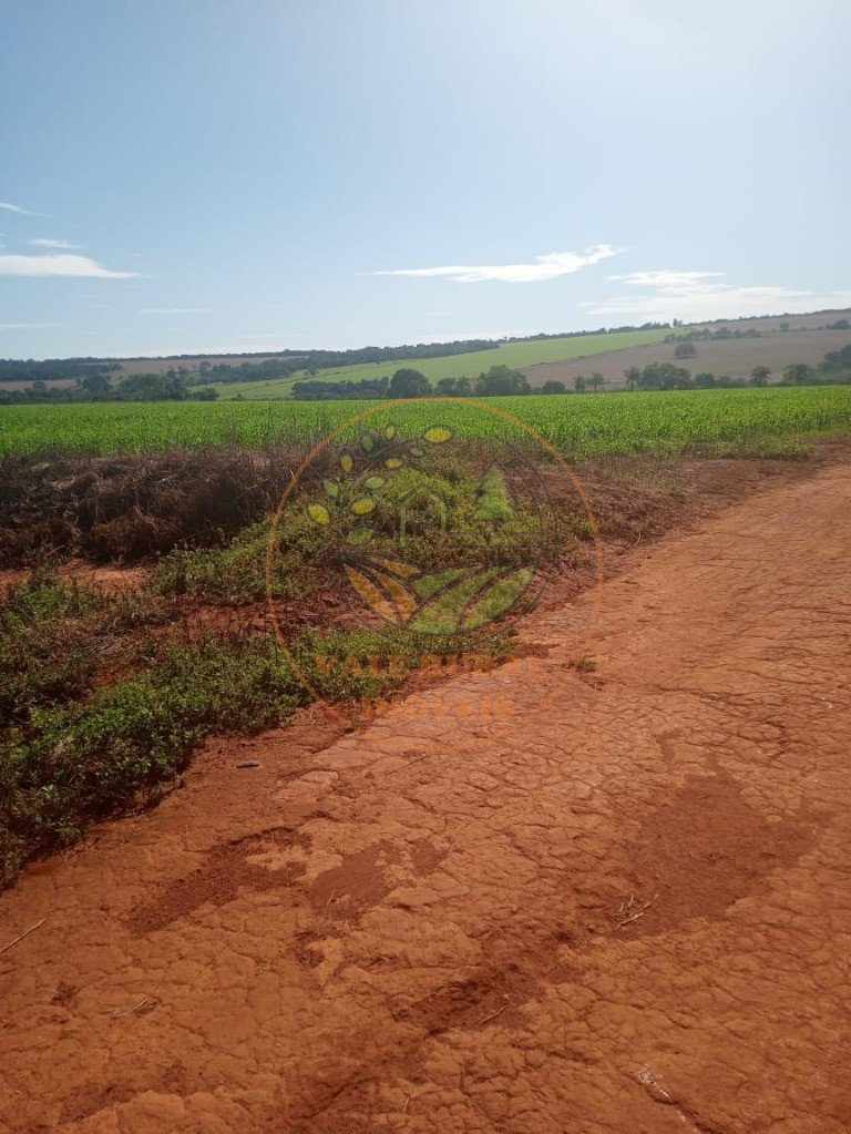 Fazenda à venda - Foto 4