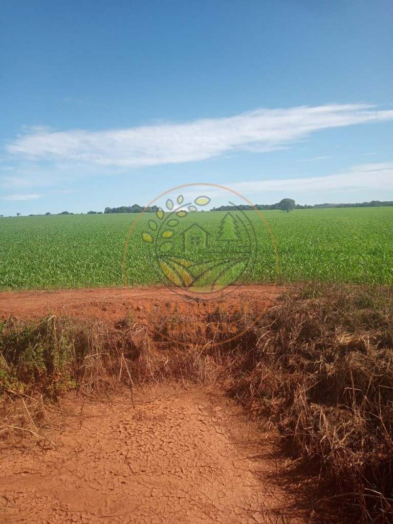 Fazenda à venda - Foto 7