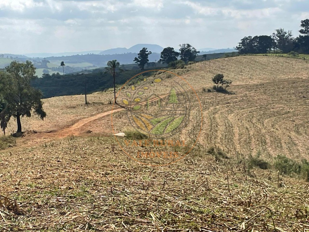 Fazenda à venda com 2 quartos - Foto 30