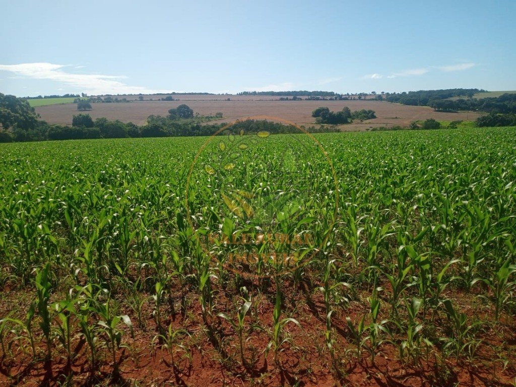 Fazenda à venda - Foto 1