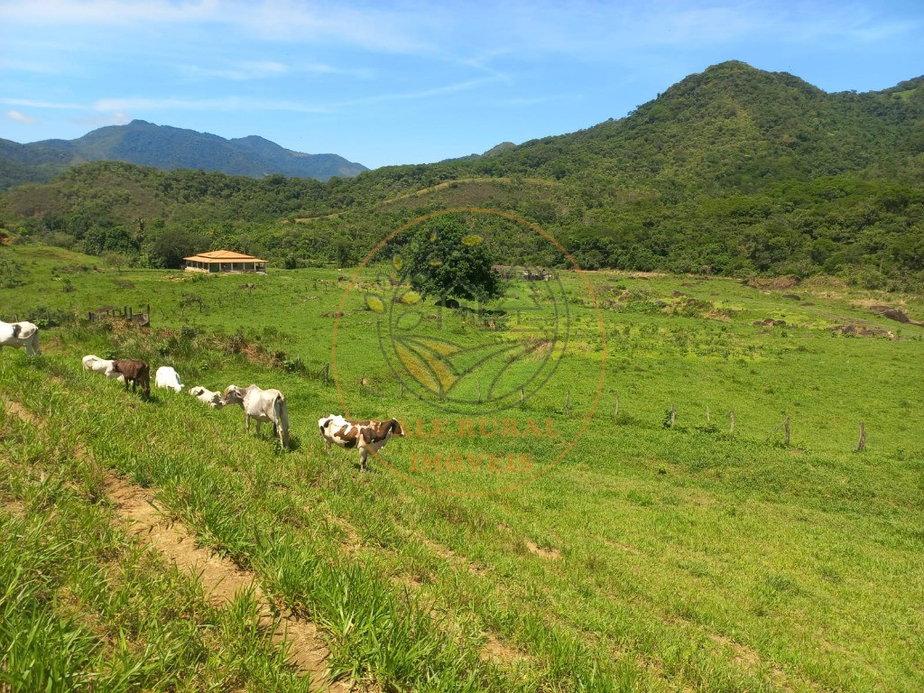 Fazenda à venda - Foto 10