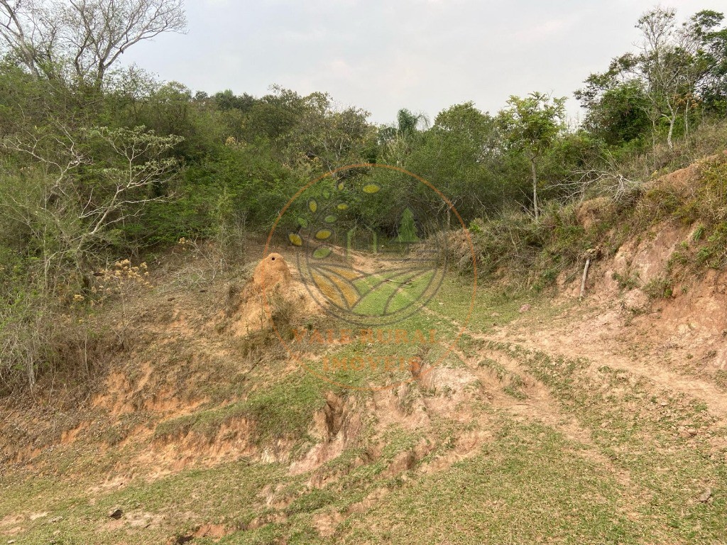 Haras e Área Rural Padrão à venda - Foto 9