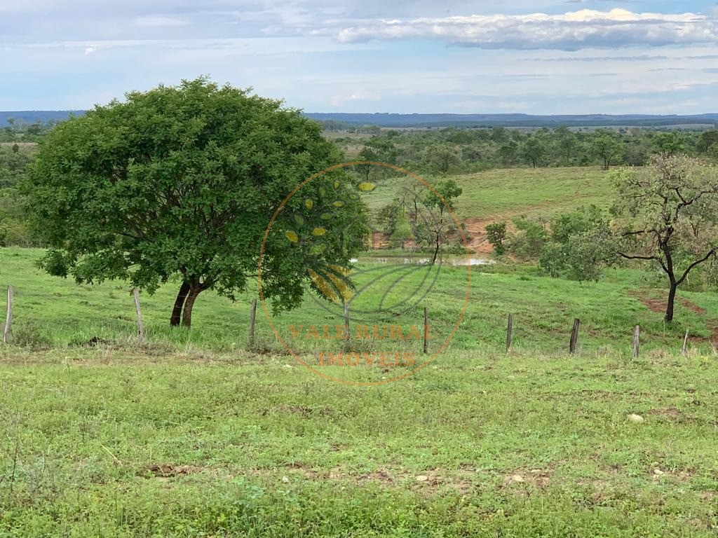 Fazenda à venda com 3 quartos, 306m² - Foto 17