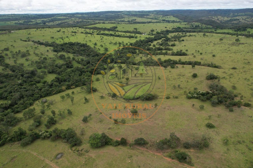 Fazenda à venda - Foto 18