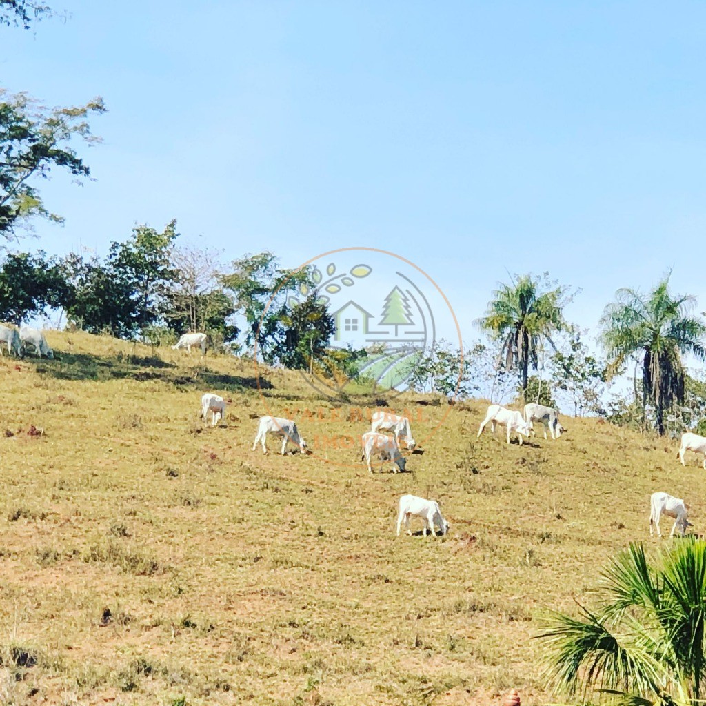 Fazenda à venda - Foto 29