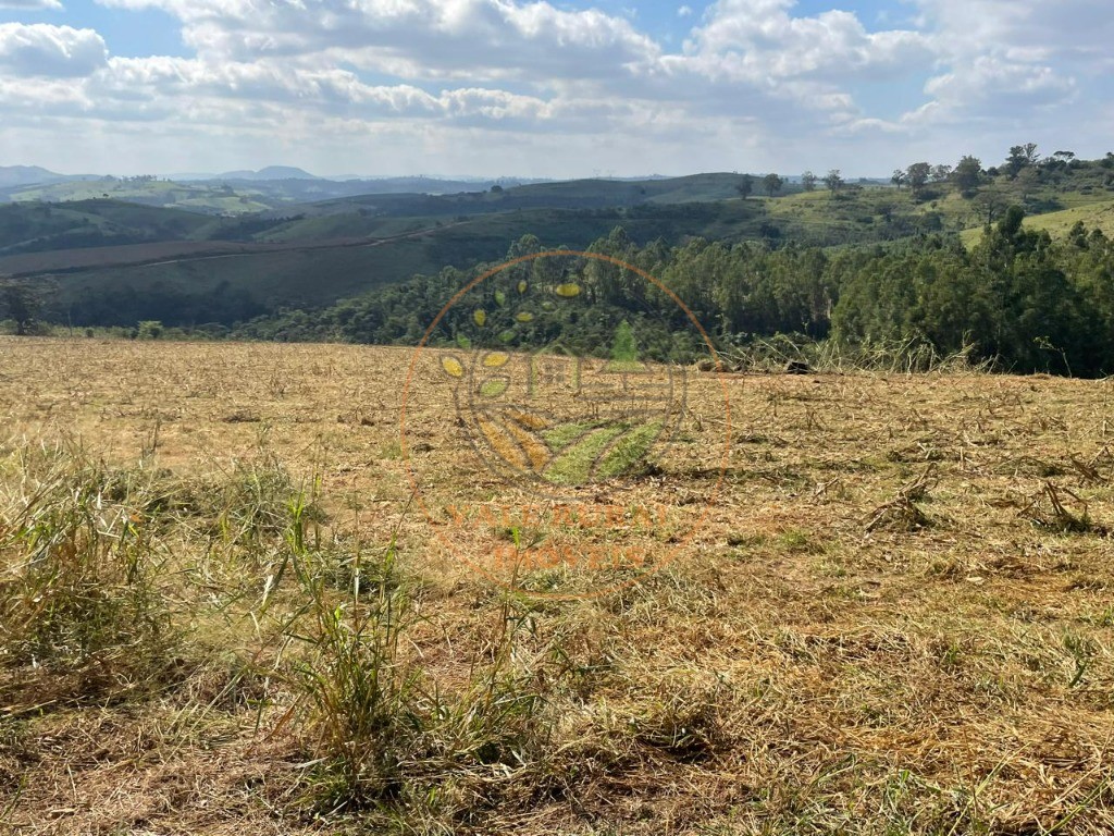 Fazenda à venda com 2 quartos - Foto 14