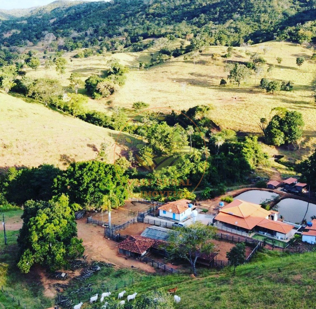 Fazenda à venda - Foto 3