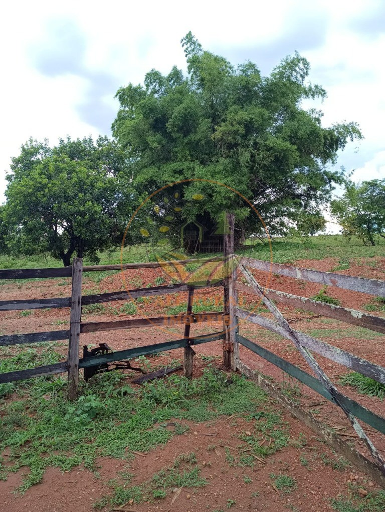 Fazenda à venda - Foto 7