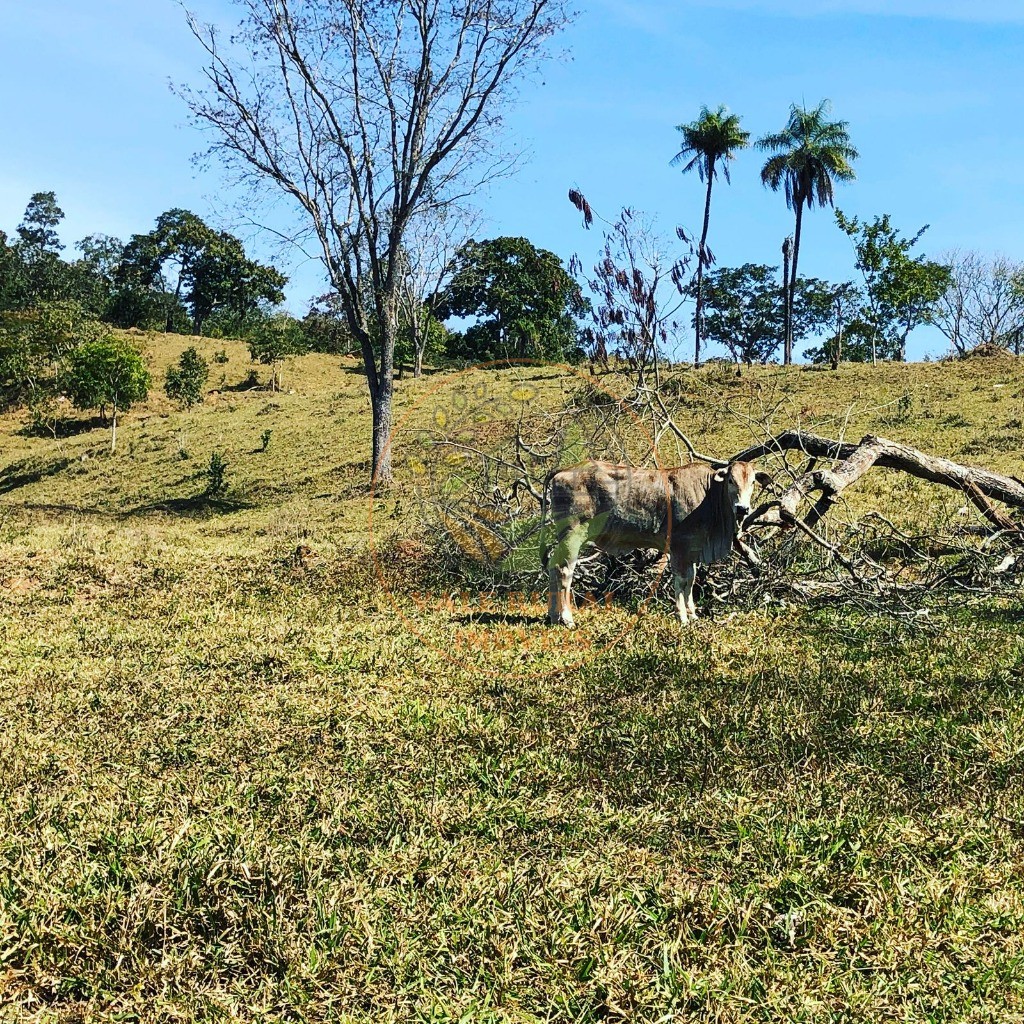 Fazenda à venda - Foto 27