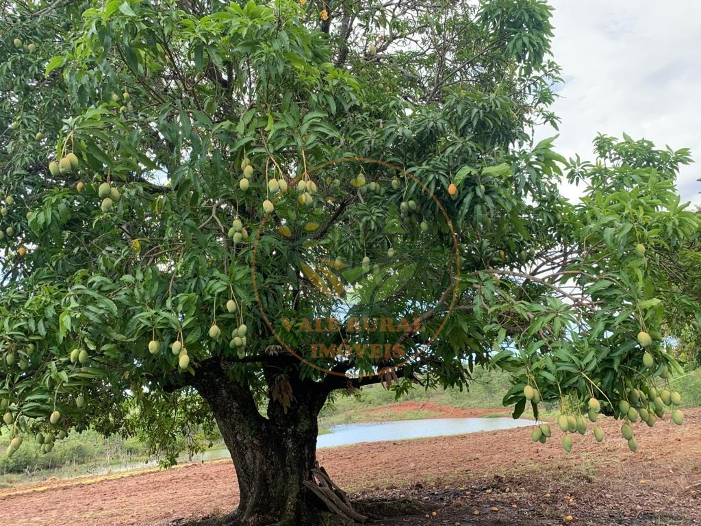 Fazenda à venda com 3 quartos, 306m² - Foto 14