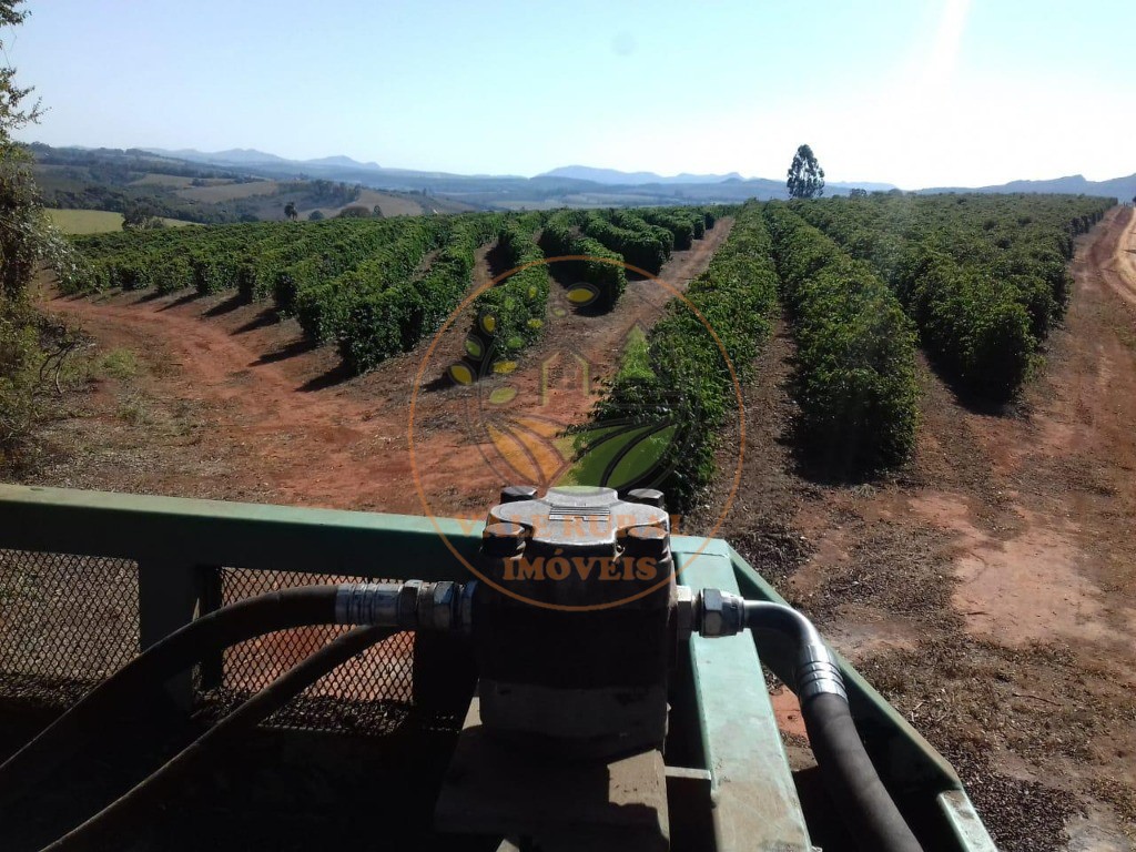 Fazenda à venda - Foto 8