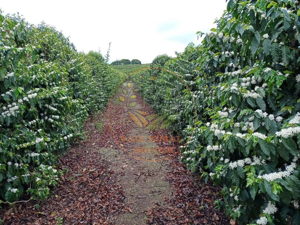 Fazenda à venda - Foto 1