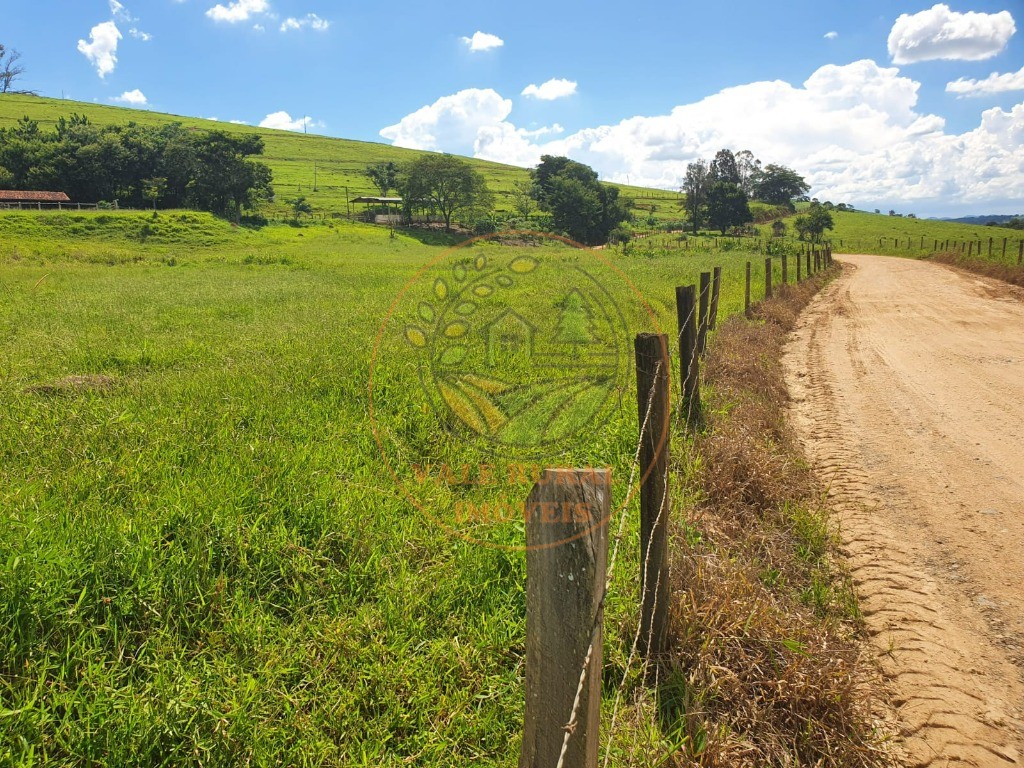 Fazenda à venda - Foto 10