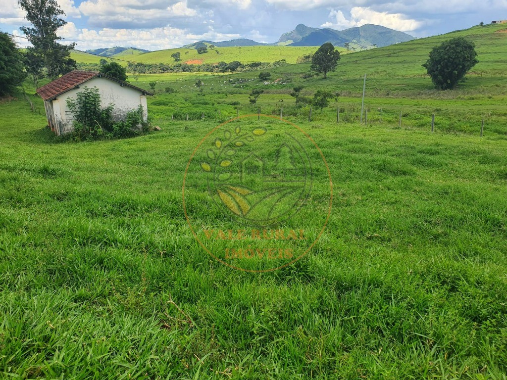 Fazenda à venda - Foto 6