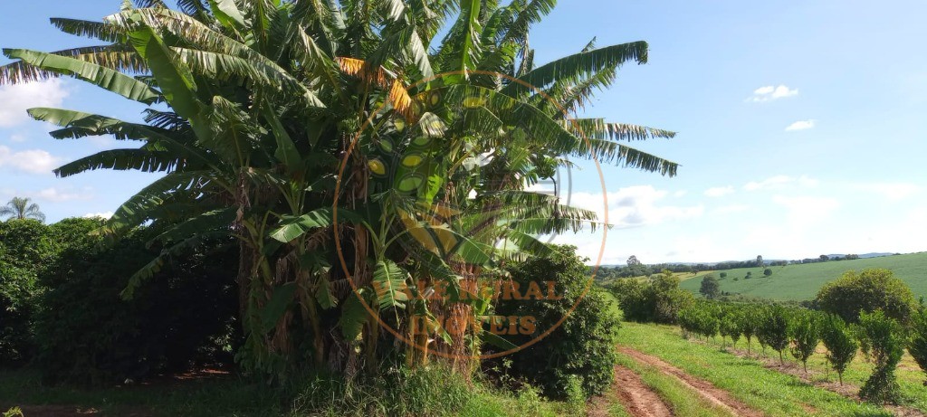 Fazenda à venda - Foto 43