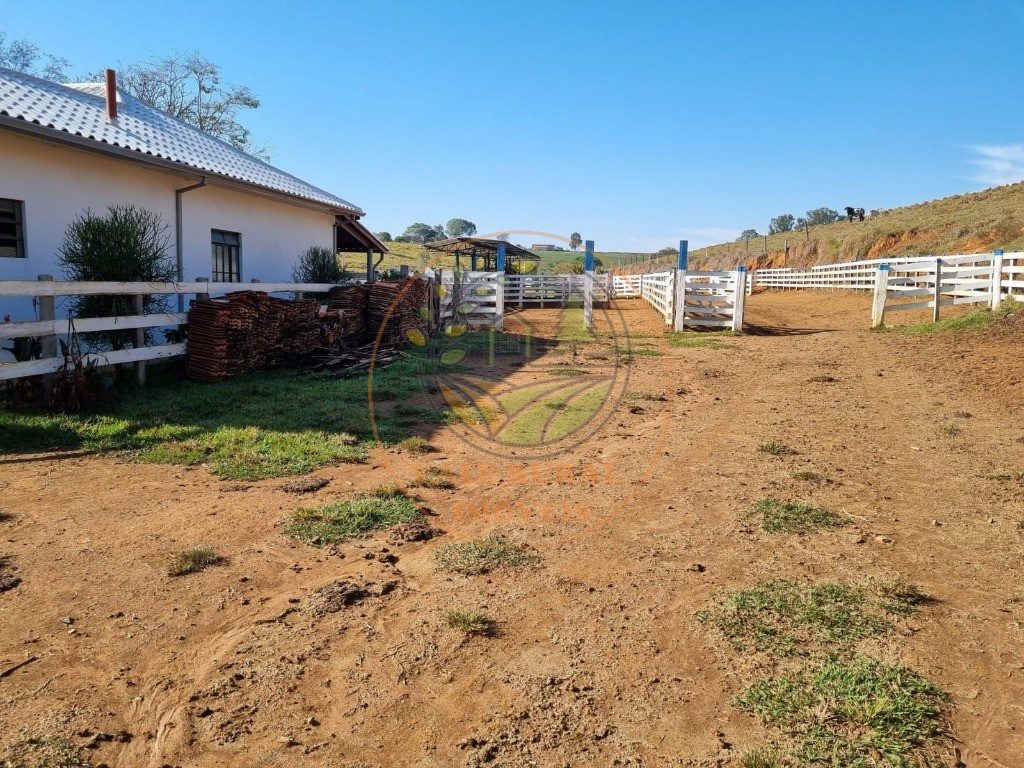 Fazenda à venda - Foto 4