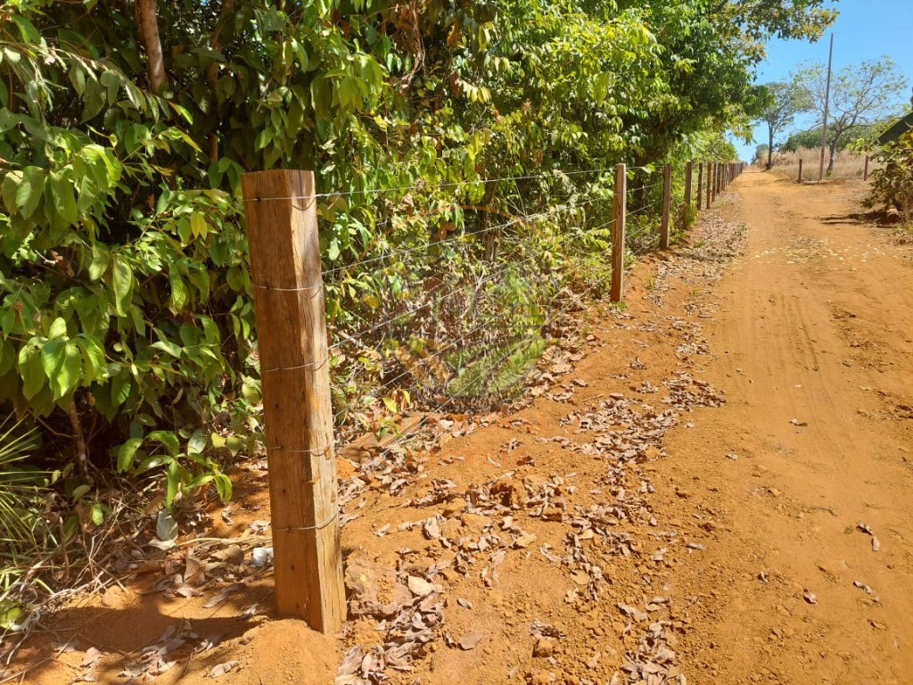 Haras e Área Rural Padrão à venda - Foto 6