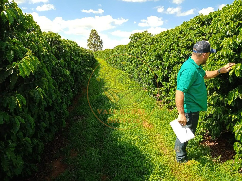 Fazenda à venda - Foto 7