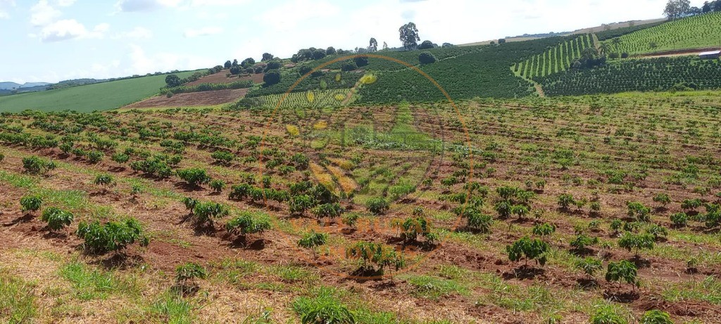 Fazenda à venda - Foto 61