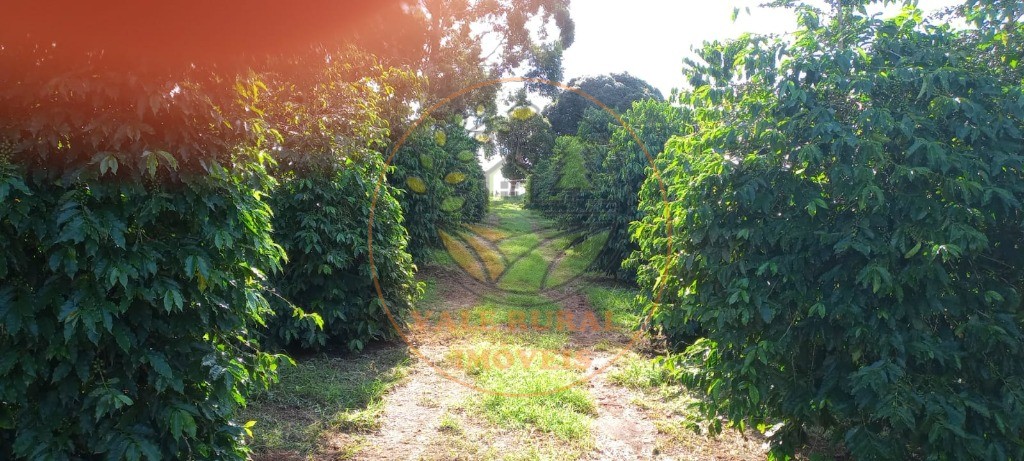 Fazenda à venda - Foto 34