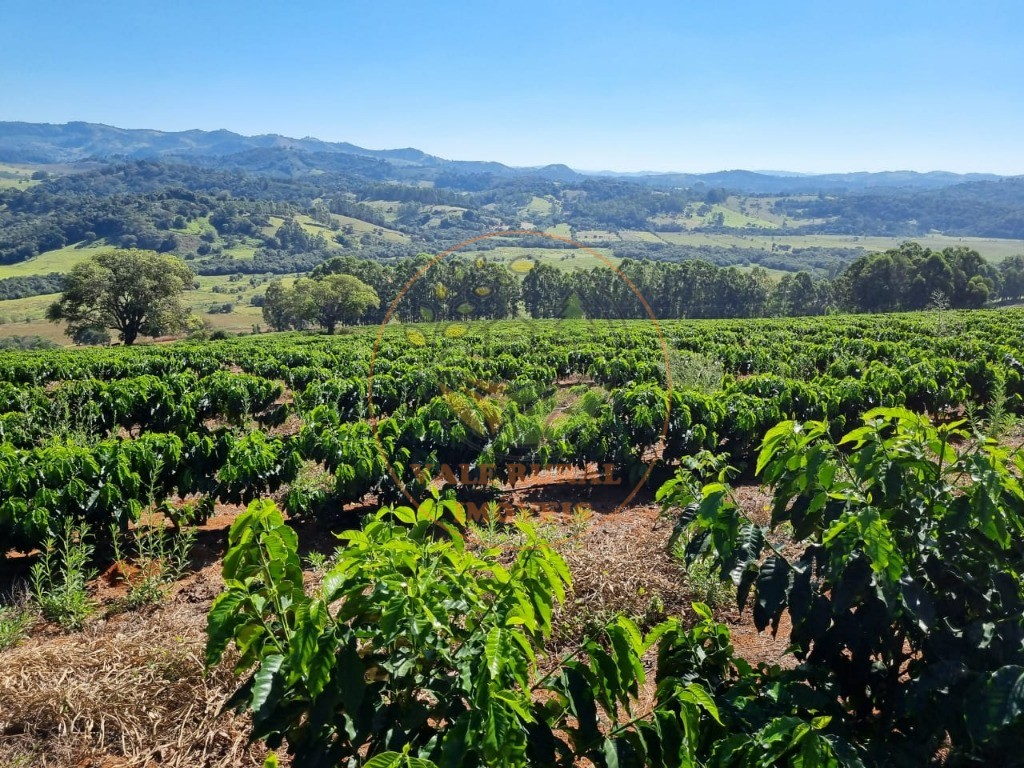 Fazenda à venda - Foto 8