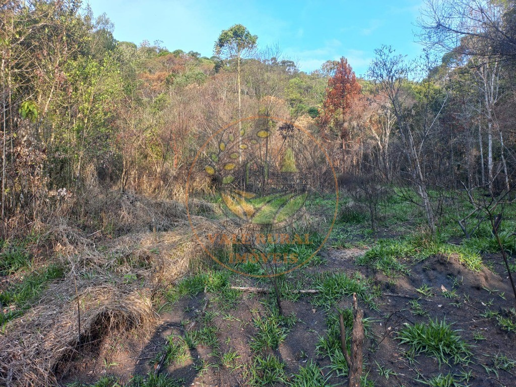 Haras e Área Rural Padrão à venda - Foto 7