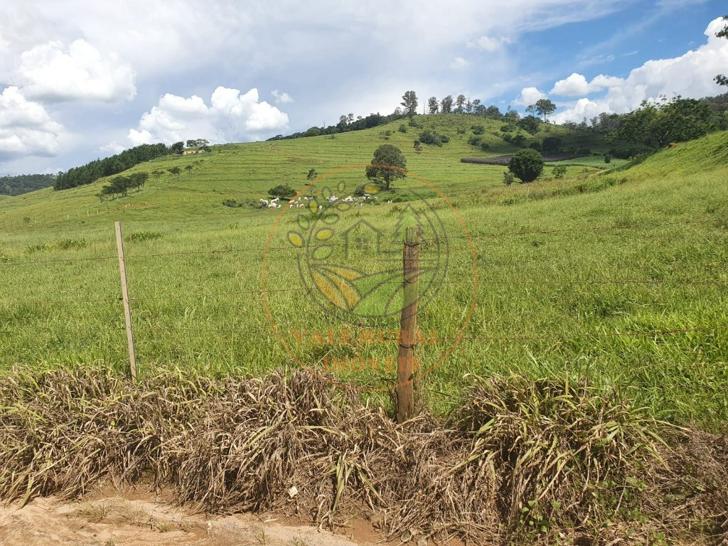 Fazenda à venda - Foto 8