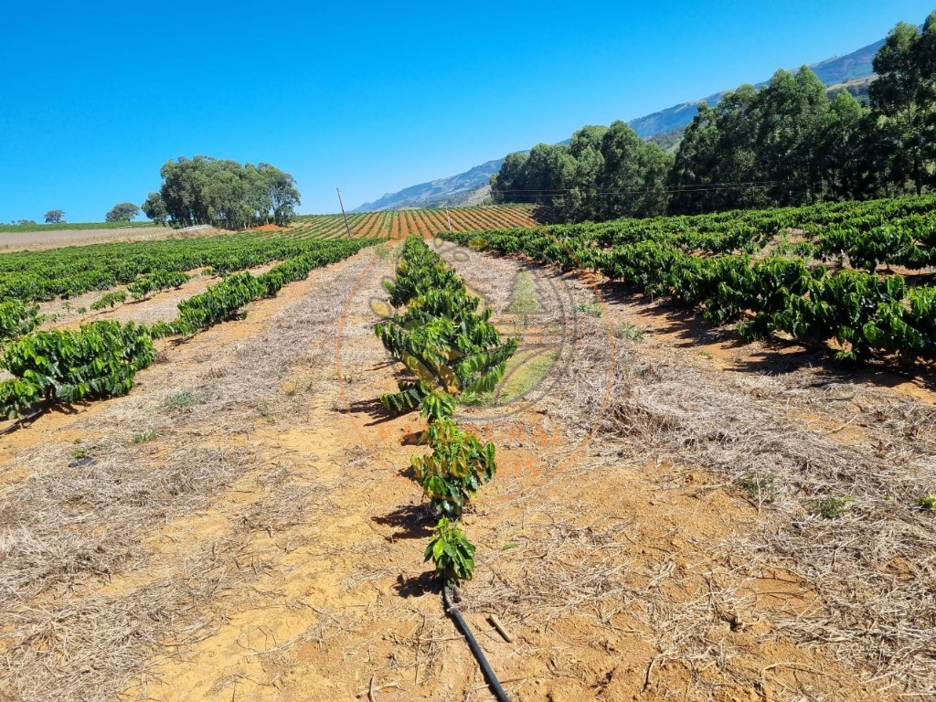 Fazenda à venda - Foto 10