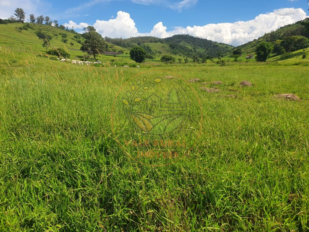 Fazenda à venda - Foto 11