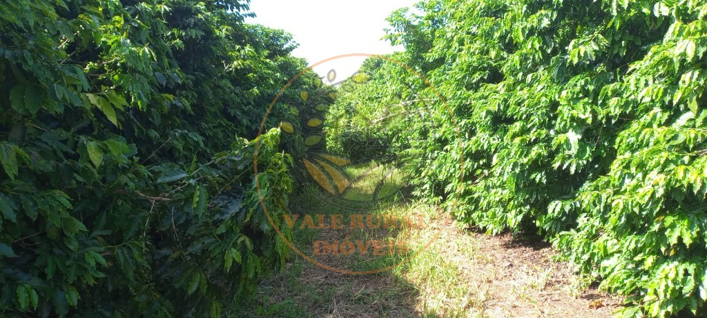 Fazenda à venda - Foto 15