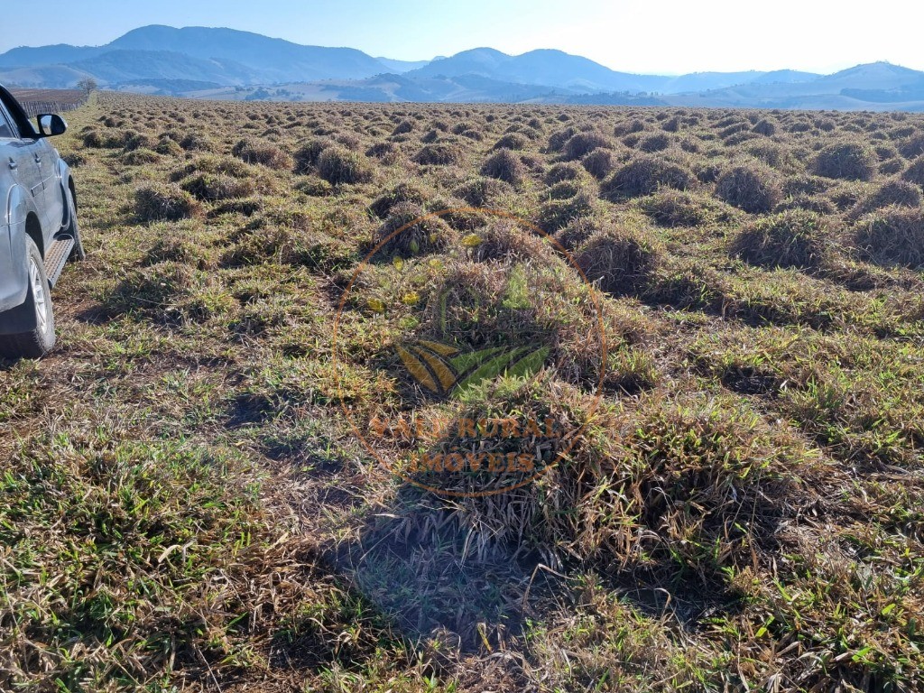 Fazenda à venda - Foto 20