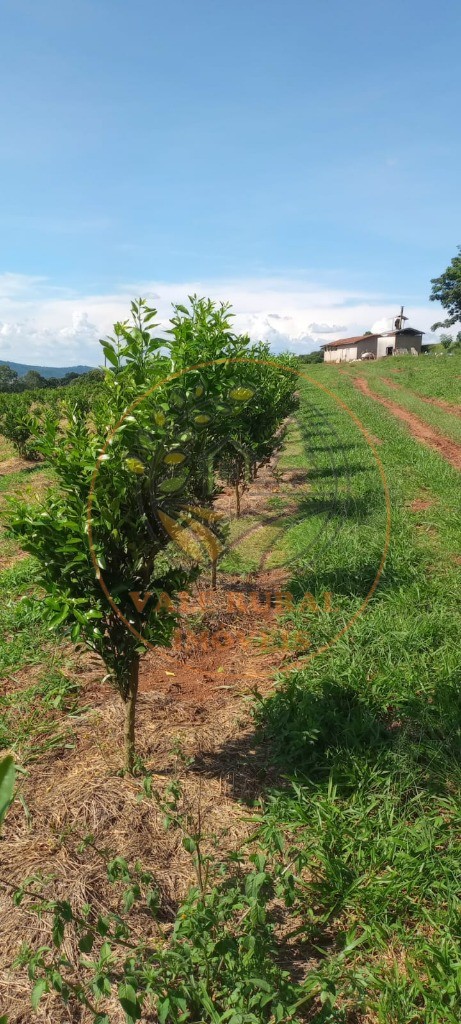 Fazenda à venda - Foto 47