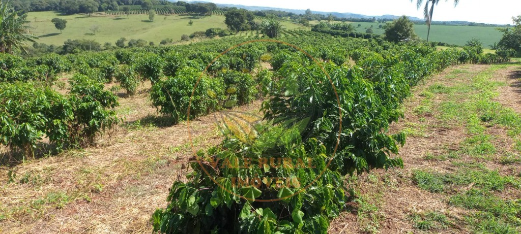 Fazenda à venda - Foto 80