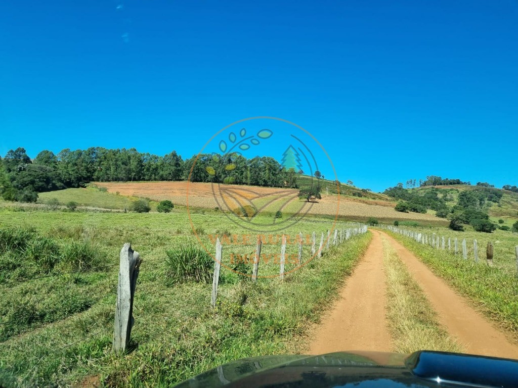 Fazenda à venda - Foto 14