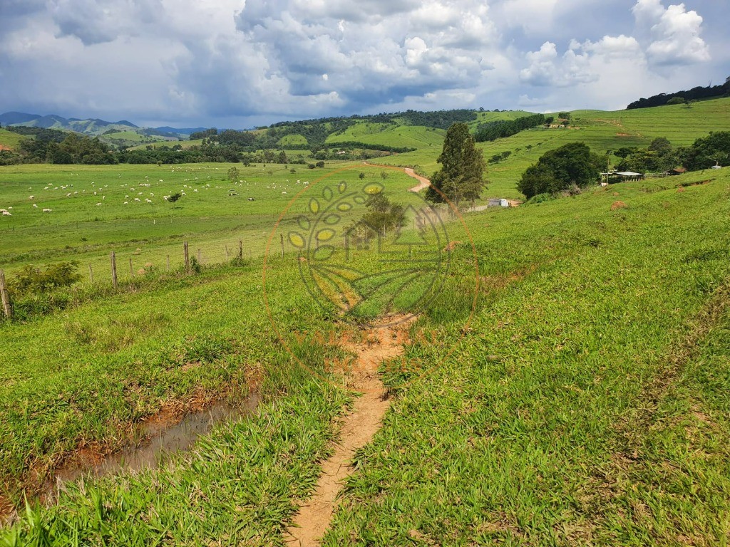 Fazenda à venda - Foto 13