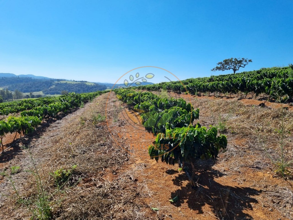 Fazenda à venda - Foto 9