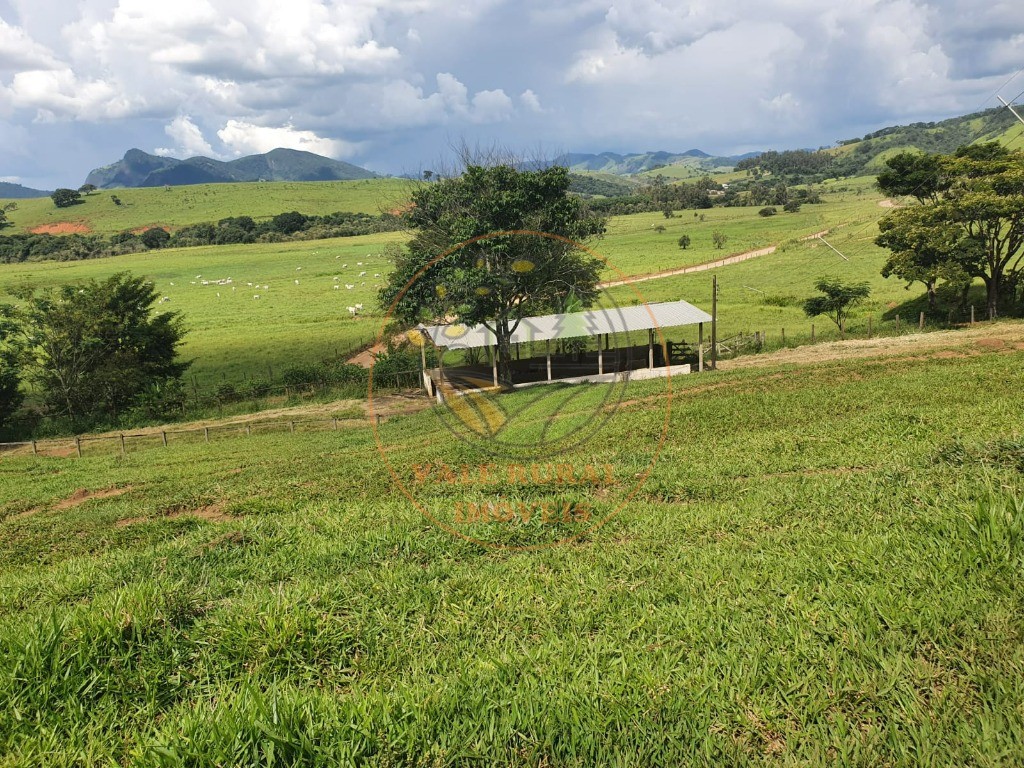 Fazenda à venda - Foto 4