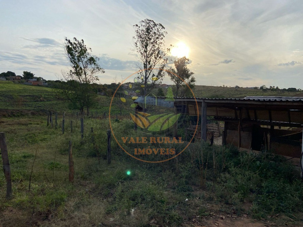 Haras e Área Rural Padrão à venda - Foto 3