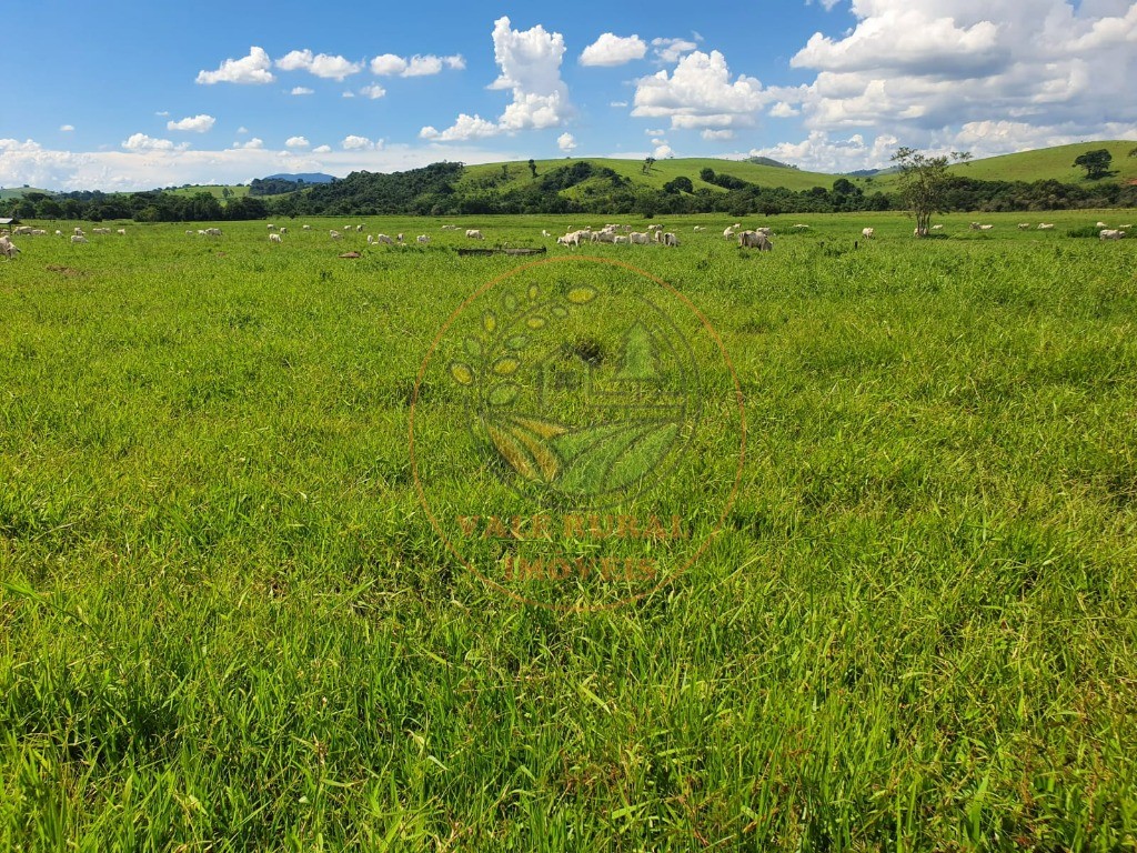 Fazenda à venda - Foto 9