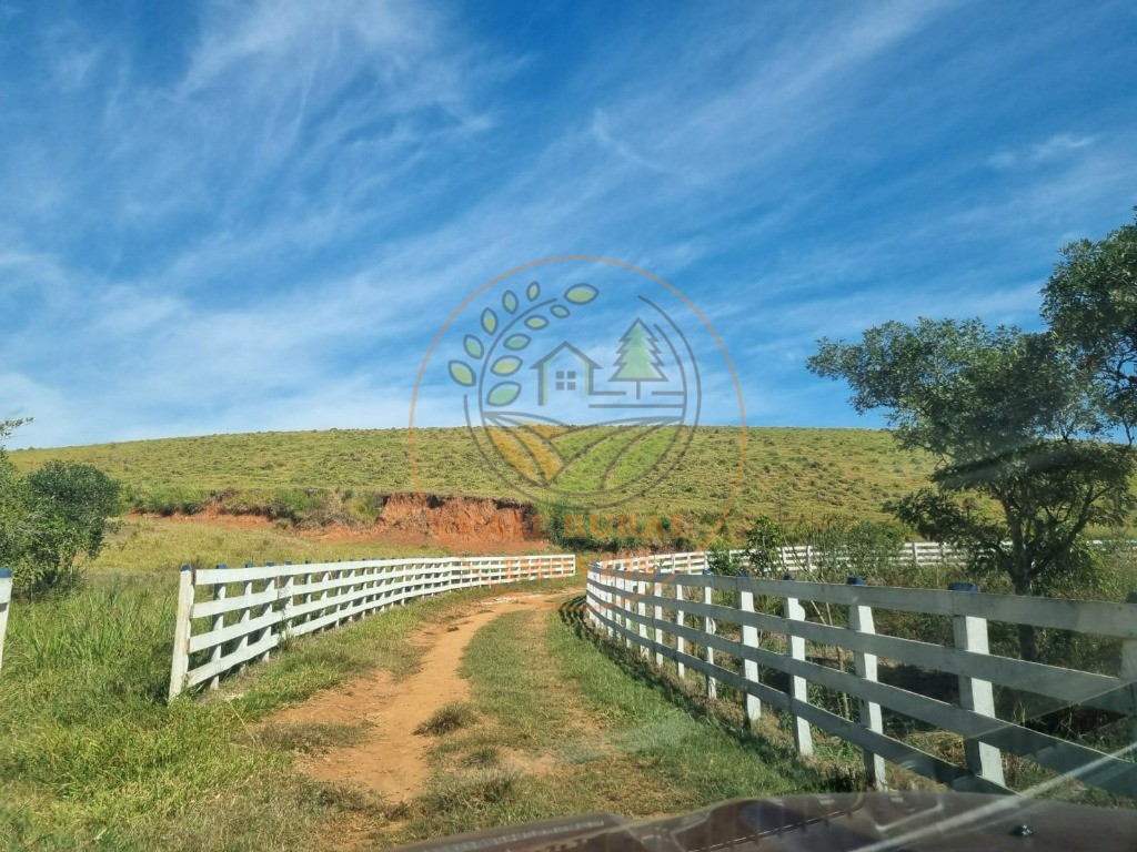 Fazenda à venda - Foto 8