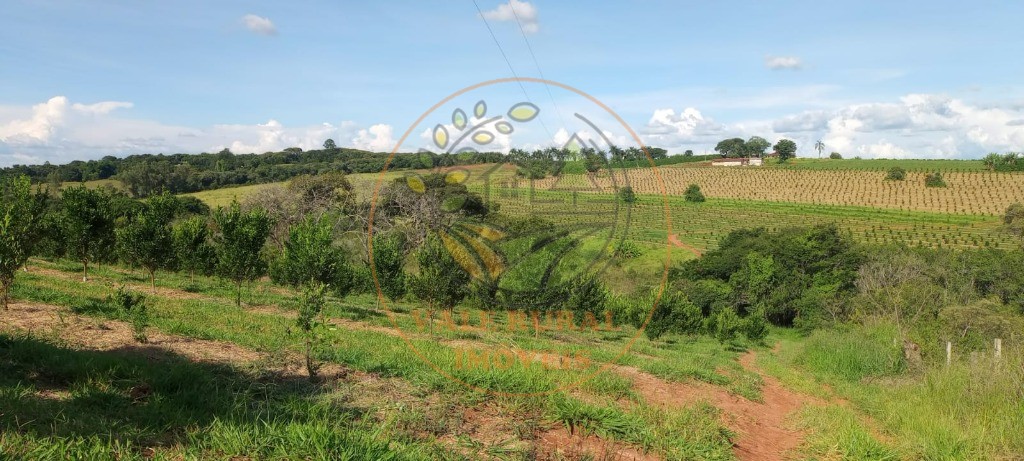 Fazenda à venda - Foto 30