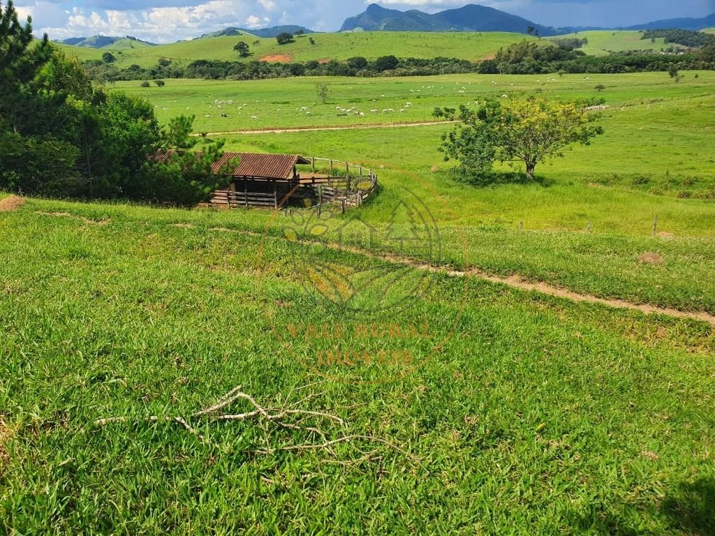 Fazenda à venda - Foto 17