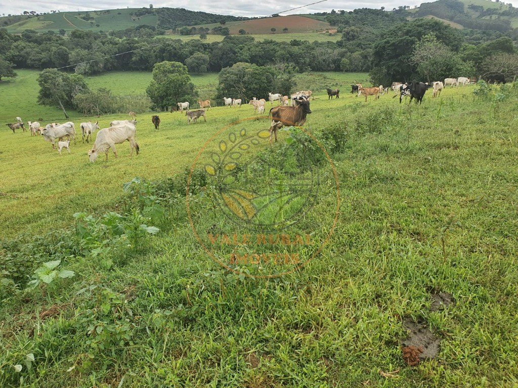 Fazenda à venda com 2 quartos - Foto 2