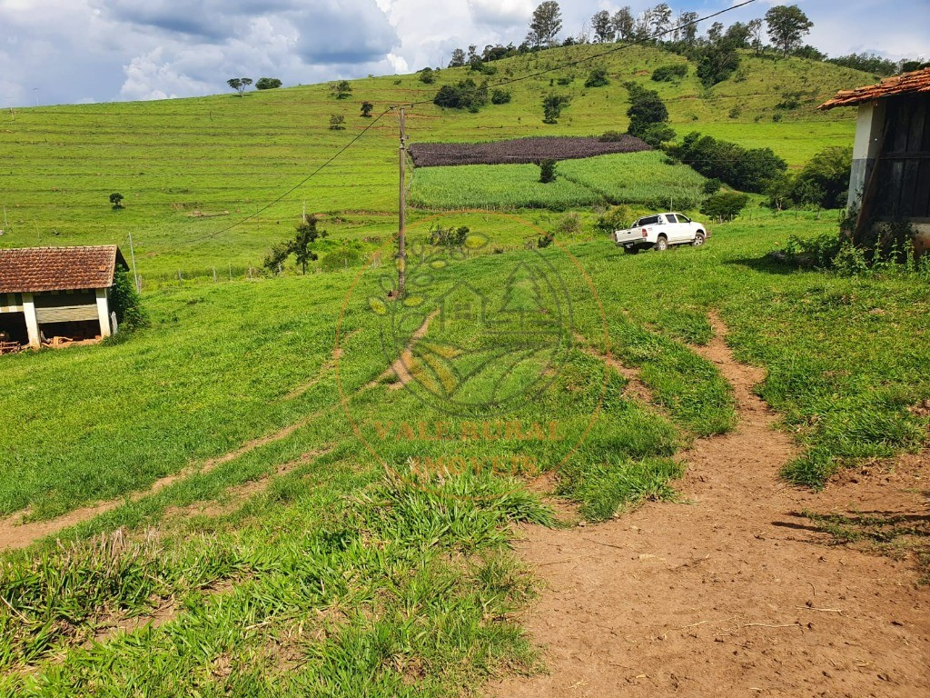 Fazenda à venda - Foto 2