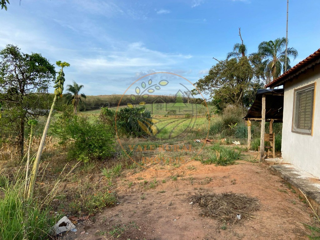 Haras e Área Rural Padrão à venda - Foto 2