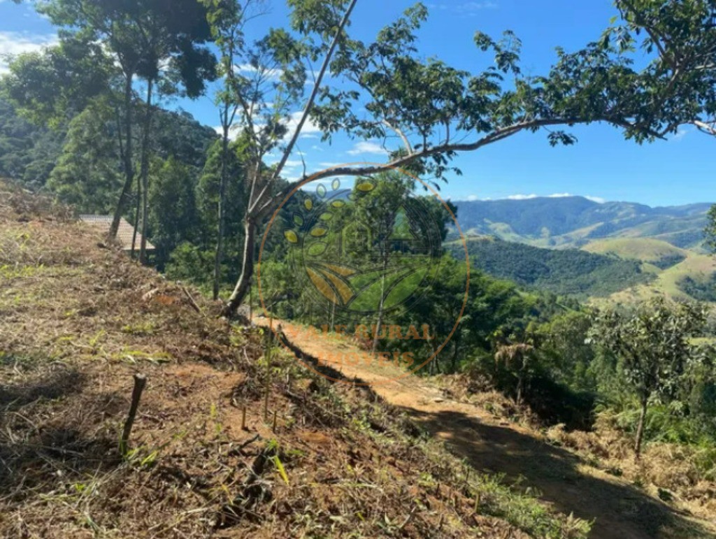 Haras e Área Rural Padrão à venda - Foto 4