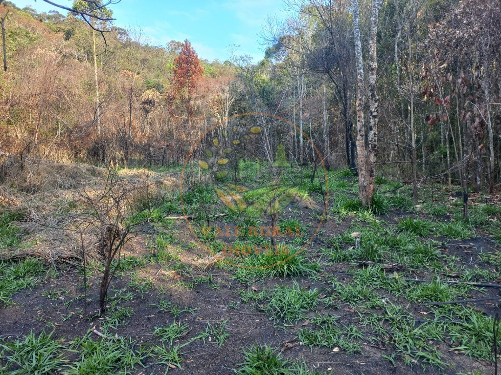 Haras e Área Rural Padrão à venda - Foto 5