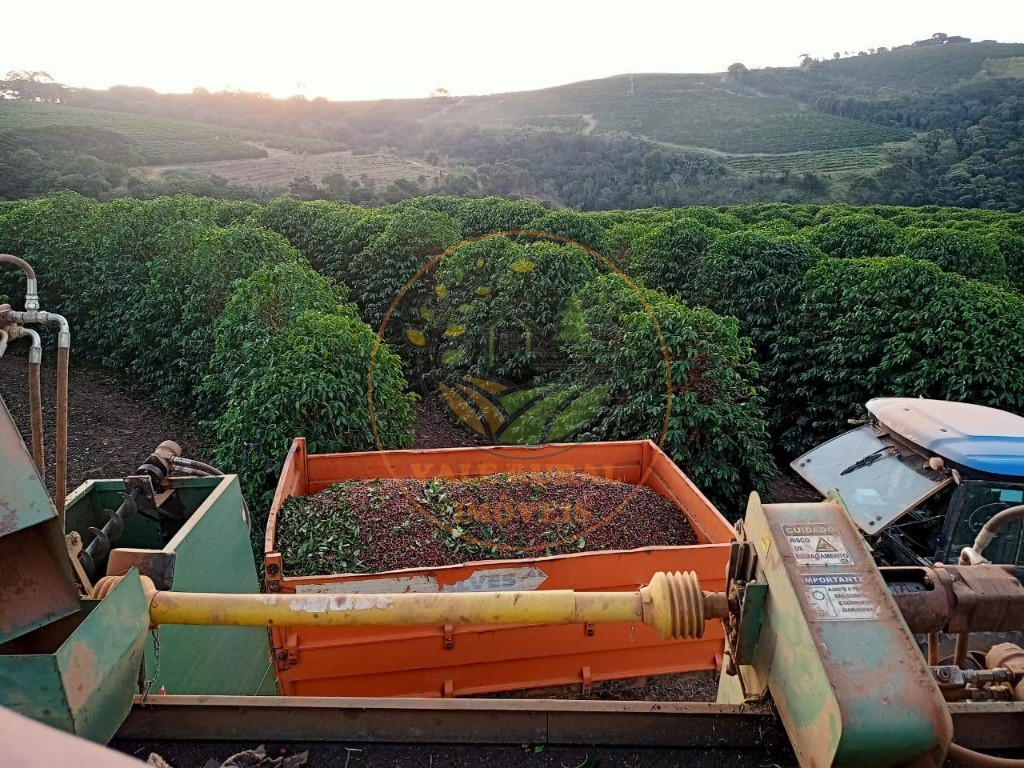 Fazenda à venda - Foto 6