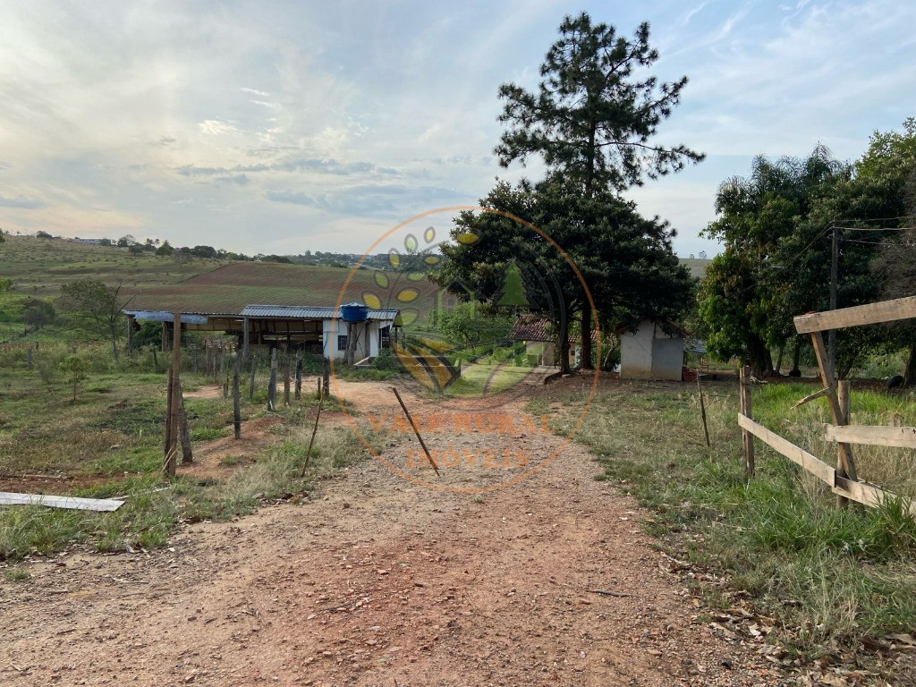 Haras e Área Rural Padrão à venda - Foto 12