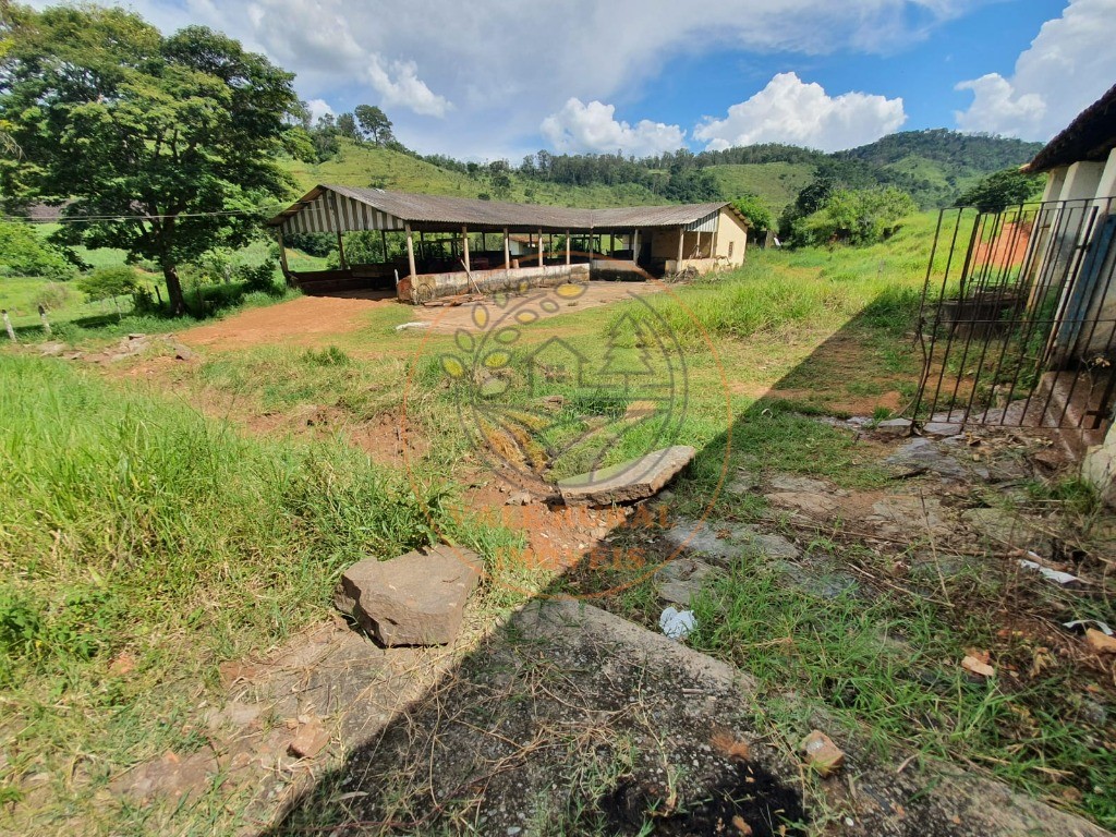 Fazenda à venda - Foto 3